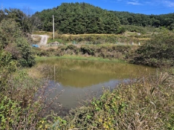 경상남도 산청군 신안면 외고리 1259 답 경매 사진 11