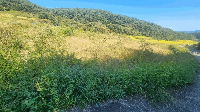 경상남도 산청군 신안면 외고리 1259 답 경매 사진 5