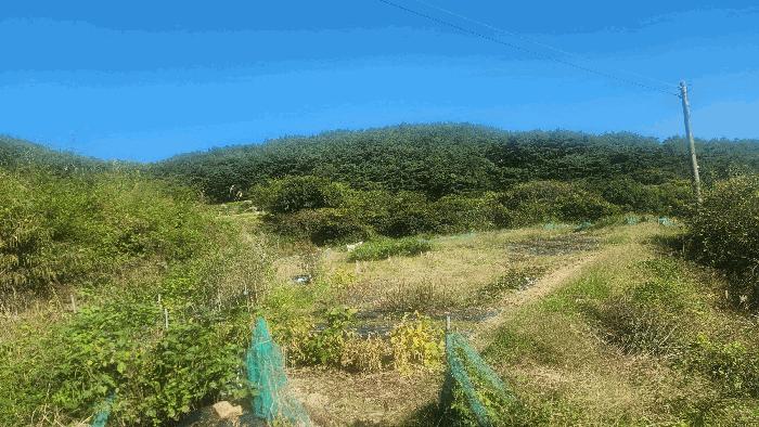 경상남도 산청군 신안면 외고리 1259 답 경매 사진 8