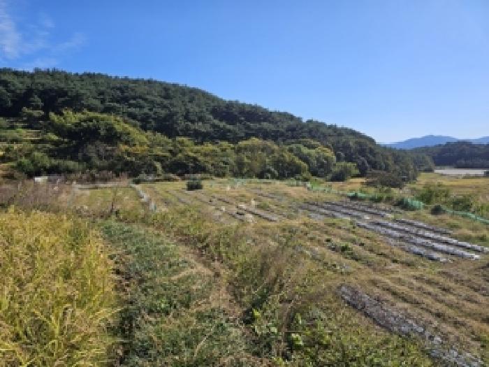 경상남도 산청군 신안면 외고리 1259 답 경매 사진 9