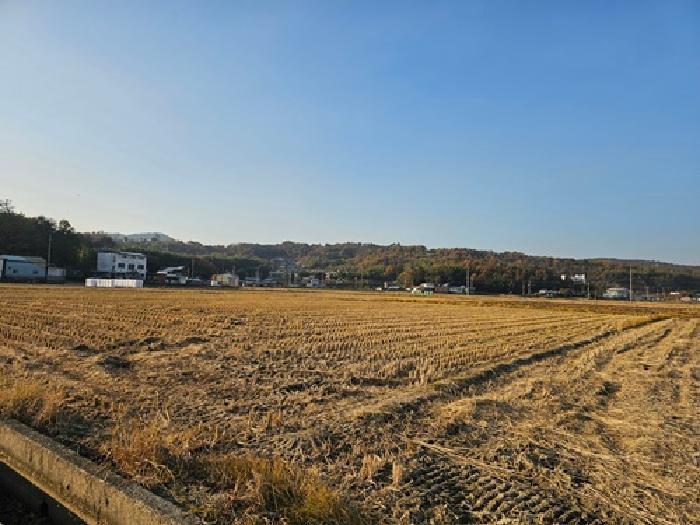 경상남도 하동군 금성면 궁항리 1242 답 경매 사진 20