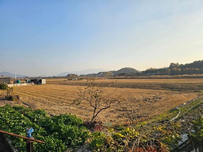 경상남도 하동군 금성면 궁항리 1242 답 경매 사진 21