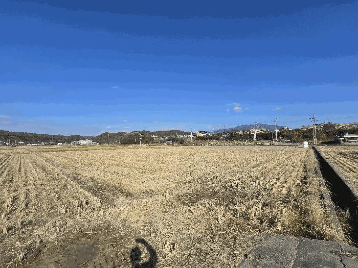 경상남도 하동군 금성면 궁항리 1242 답 경매 사진 3