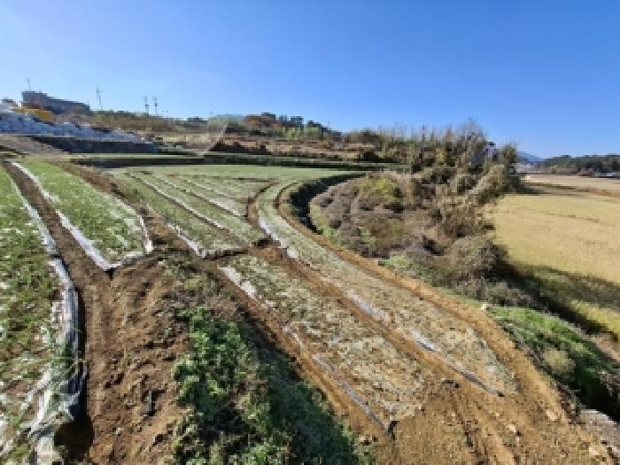 경상남도 남해군 삼동면 영지리 2340-1 전 경매 사진 29
