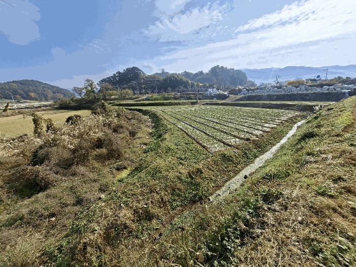 경상남도 남해군 삼동면 영지리 2340-1 전 경매 사진 7