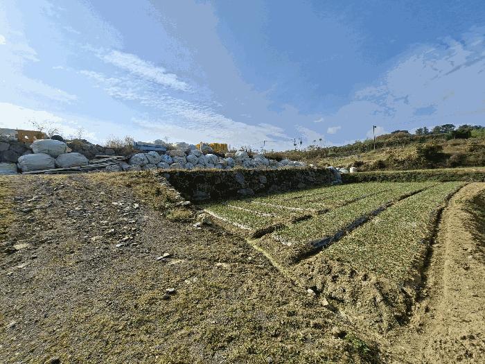 경상남도 남해군 삼동면 영지리 2340-1 전 경매 사진 8