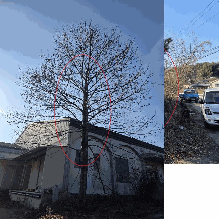 경상남도 산청군 차황면 철수리 302 숙박시설 경매 사진 12