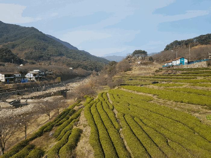경상남도 하동군 화개면 정금리 1231 답 경매 사진 1