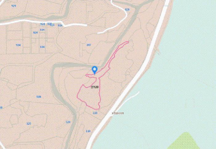 경상남도 산청군 단성면 방목리 산120 임야 경매 사진 11