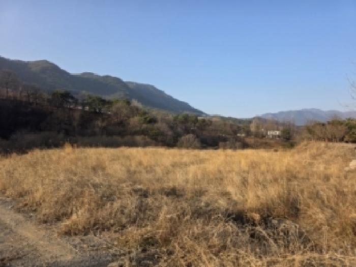 경상남도 산청군 단성면 방목리 산120 임야 경매 사진 7