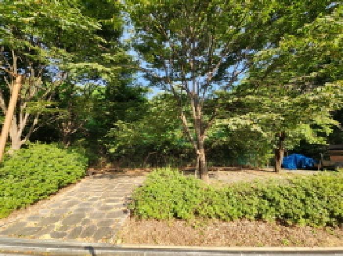 경기도 의왕시 이동 533-4 임야 경매 사진 24