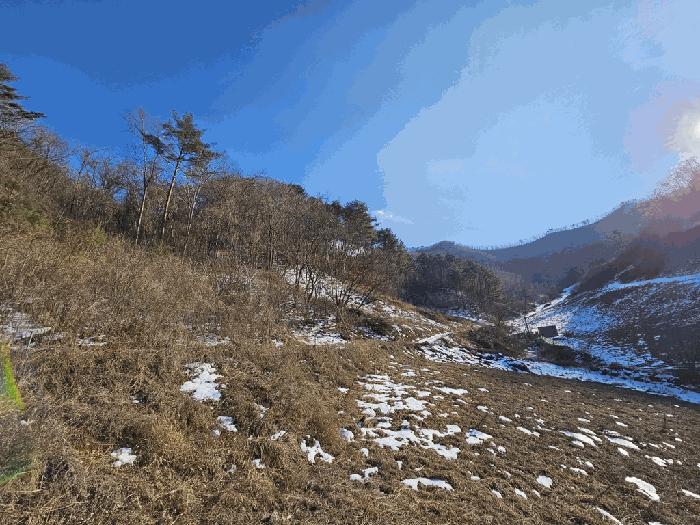 강원 정선군 전