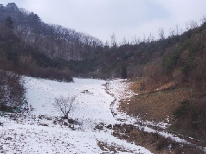 강원특별자치도 정선군 화암면 백전리 산359 임야 경매 사진 7