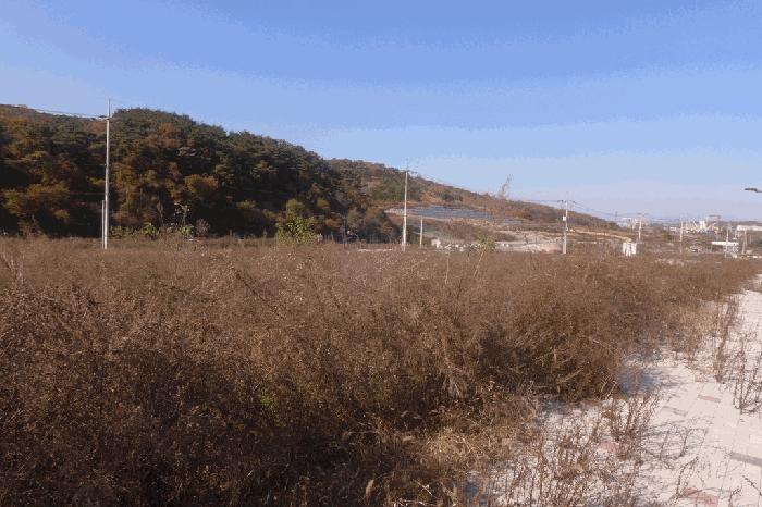 경상북도 경주시 천군동 864-1 대지 경매 사진 2