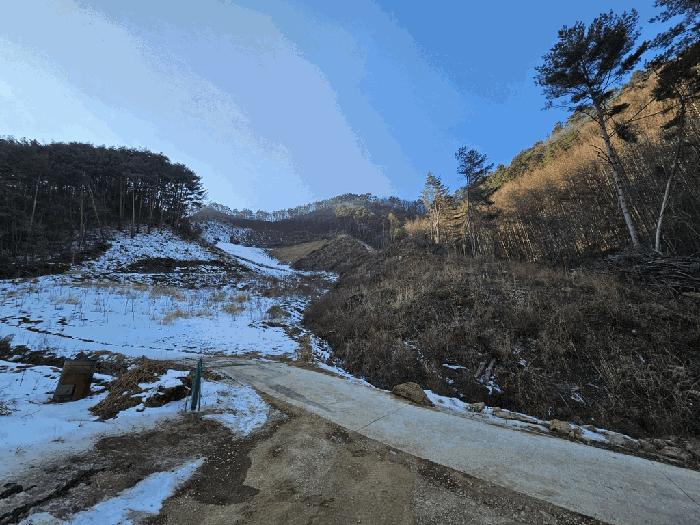 강원특별자치도 정선군 화암면 백전리 산376 임야 경매 사진 3
