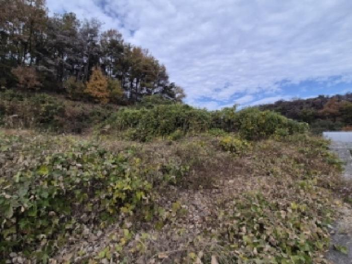 경상북도 경주시 외동읍 죽동리 586 전 경매 사진 12