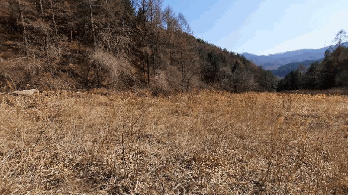 강원특별자치도 평창군 봉평면 면온리 474 임야 경매 사진 20