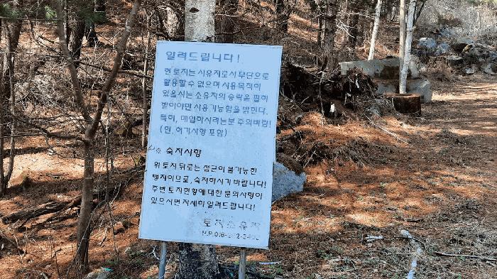 강원특별자치도 평창군 봉평면 면온리 474 임야 경매 사진 7