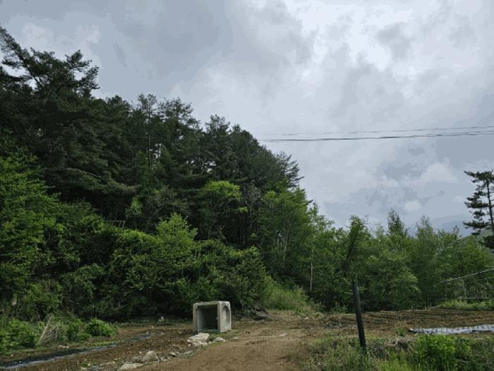 강원특별자치도 평창군 진부면 척천리 197 전 경매 사진 1