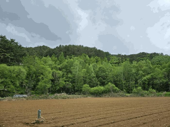 강원특별자치도 평창군 진부면 척천리 197 전 경매 사진 13