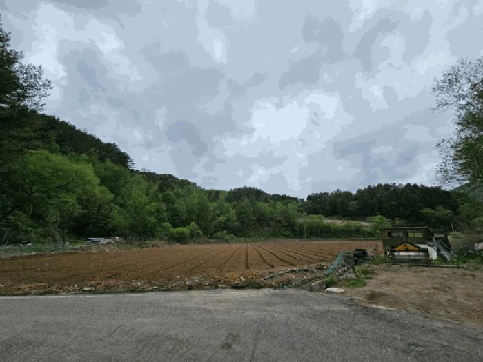 강원특별자치도 평창군 진부면 척천리 197 전 경매 사진 3