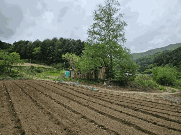 강원특별자치도 평창군 진부면 척천리 197 전 경매 사진 4