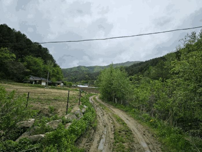 강원특별자치도 평창군 진부면 척천리 197 전 경매 사진 7