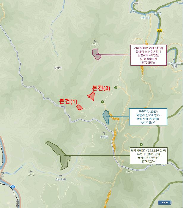 강원특별자치도 정선군 화암면 화암리 산461 임야 경매 사진 7