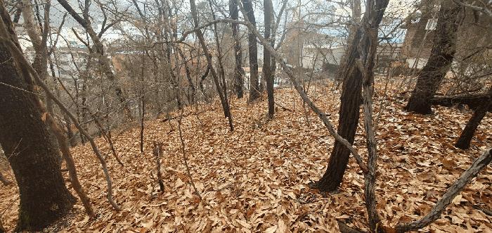 충청남도 천안시 동남구 안서동 산13-14 임야 경매 사진 1