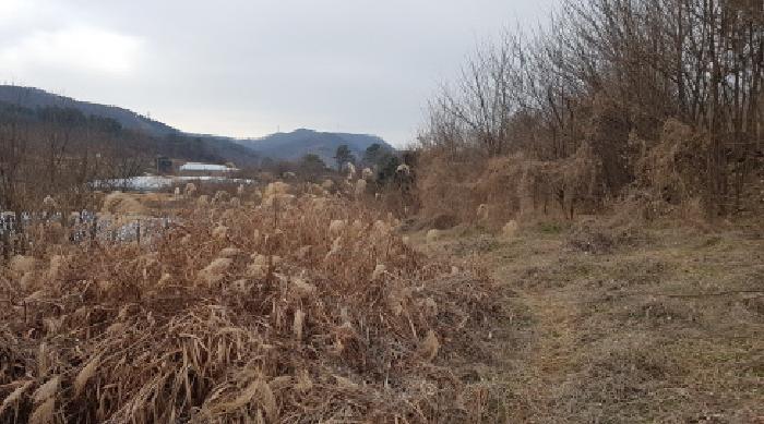 충청남도 천안시 동남구 수신면 백자리 187-5 임야 경매 사진 13