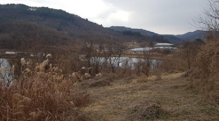 충청남도 천안시 동남구 수신면 백자리 187-5 임야 경매 사진 14