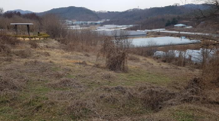 충청남도 천안시 동남구 수신면 백자리 187-5 임야 경매 사진 19
