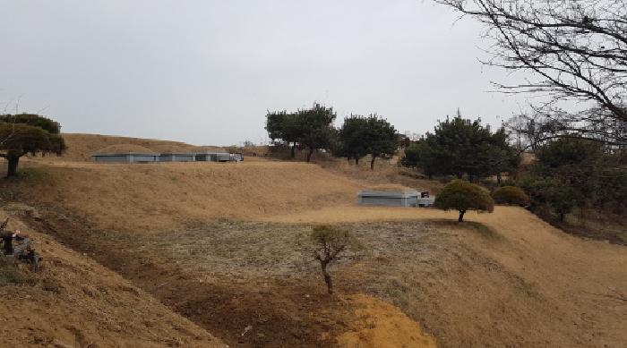 충청남도 천안시 동남구 수신면 백자리 187-5 임야 경매 사진 22