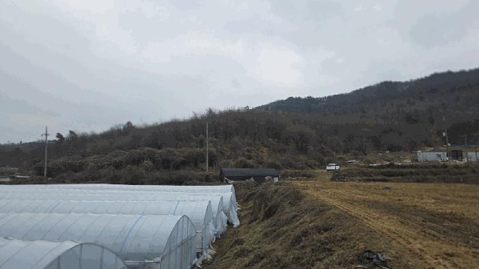 충청남도 천안시 동남구 수신면 백자리 187-5 임야 경매 사진 8