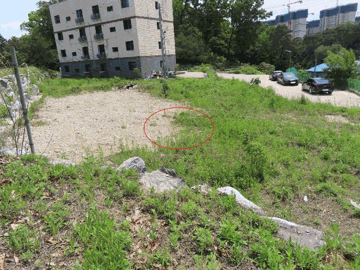 경기도 평택시 가재동 378-8 임야 경매 사진 3