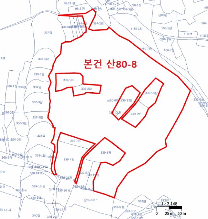 경기도 안성시 공도읍 만정리 산80-8 임야 경매 사진 23