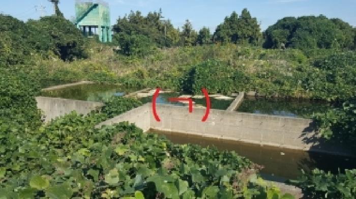 제주특별자치도 서귀포시 표선면 표선리 2845-1 임야 경매 사진 12