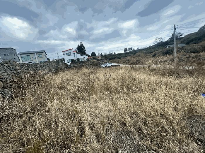 제주특별자치도 서귀포시 안덕면 상창리 1579-26 과수원 경매 사진 3