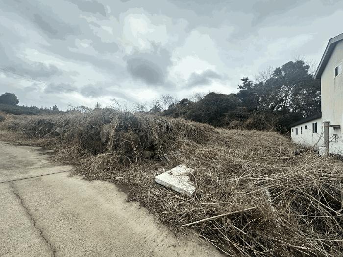 제주특별자치도 서귀포시 안덕면 상창리 1579-1 대지 경매 사진 9