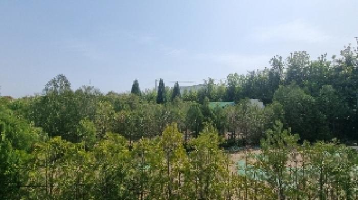 제주특별자치도 서귀포시 성산읍 삼달리 1552 전 경매 사진 49