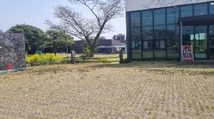 제주특별자치도 서귀포시 성산읍 삼달리 381-2 전 경매 사진 28