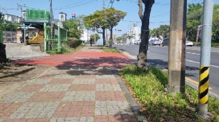 제주특별자치도 제주시 건입동 616-2 도로 경매 사진 5