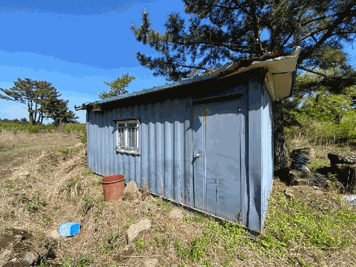 제주특별자치도 제주시 해안동 산163 임야 경매 사진 11