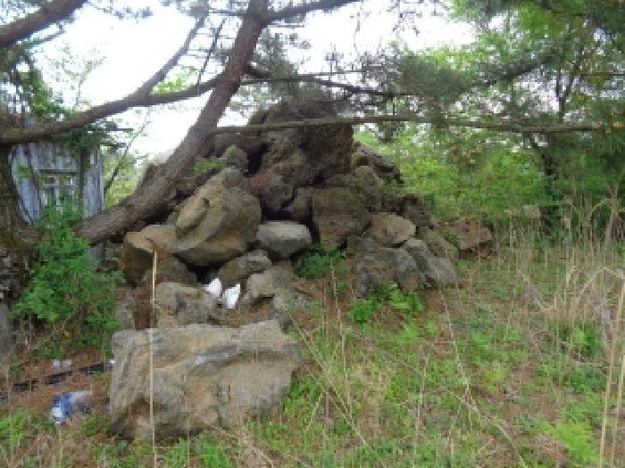 제주특별자치도 제주시 해안동 산163 임야 경매 사진 21