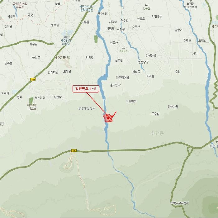 제주특별자치도 제주시 해안동 산163 임야 경매 사진 41