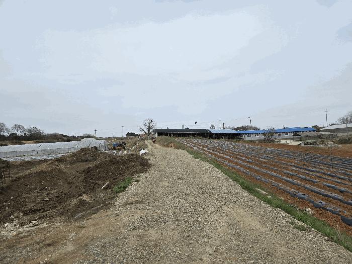 충청남도 당진시 송악읍 전대리 556-1 전 경매 사진 1