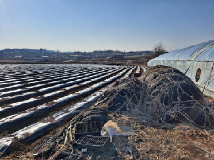 충청남도 당진시 송악읍 전대리 556-1 전 경매 사진 13