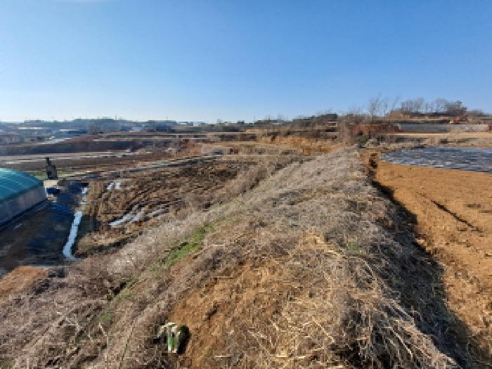 충청남도 당진시 송악읍 전대리 556-1 전 경매 사진 16