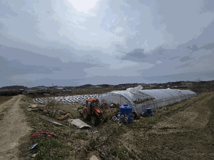 충청남도 당진시 송악읍 전대리 556-1 전 경매 사진 2