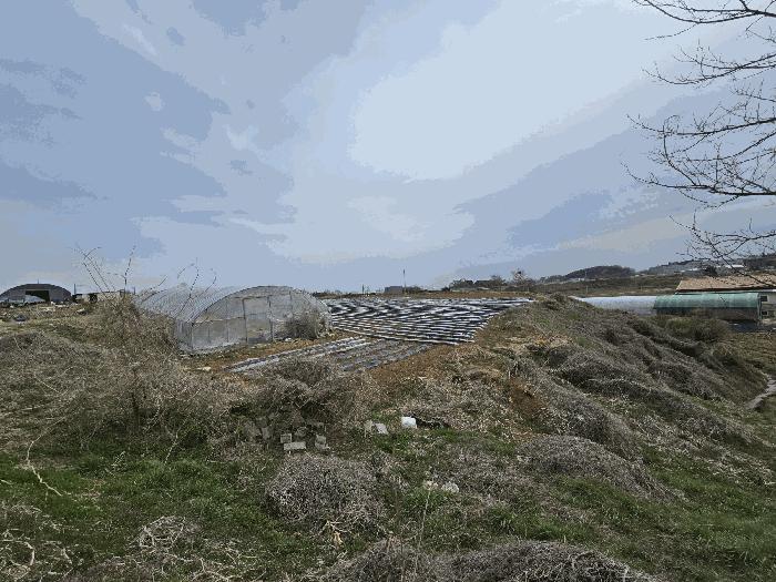 충청남도 당진시 송악읍 전대리 556-1 전 경매 사진 3
